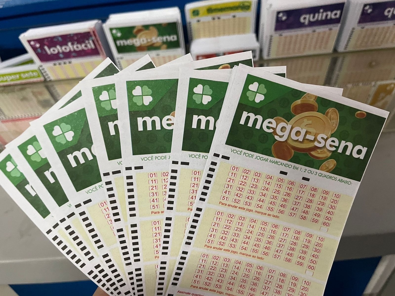 Mega-Sena tem seis apostas de Goiás que acertam quina
