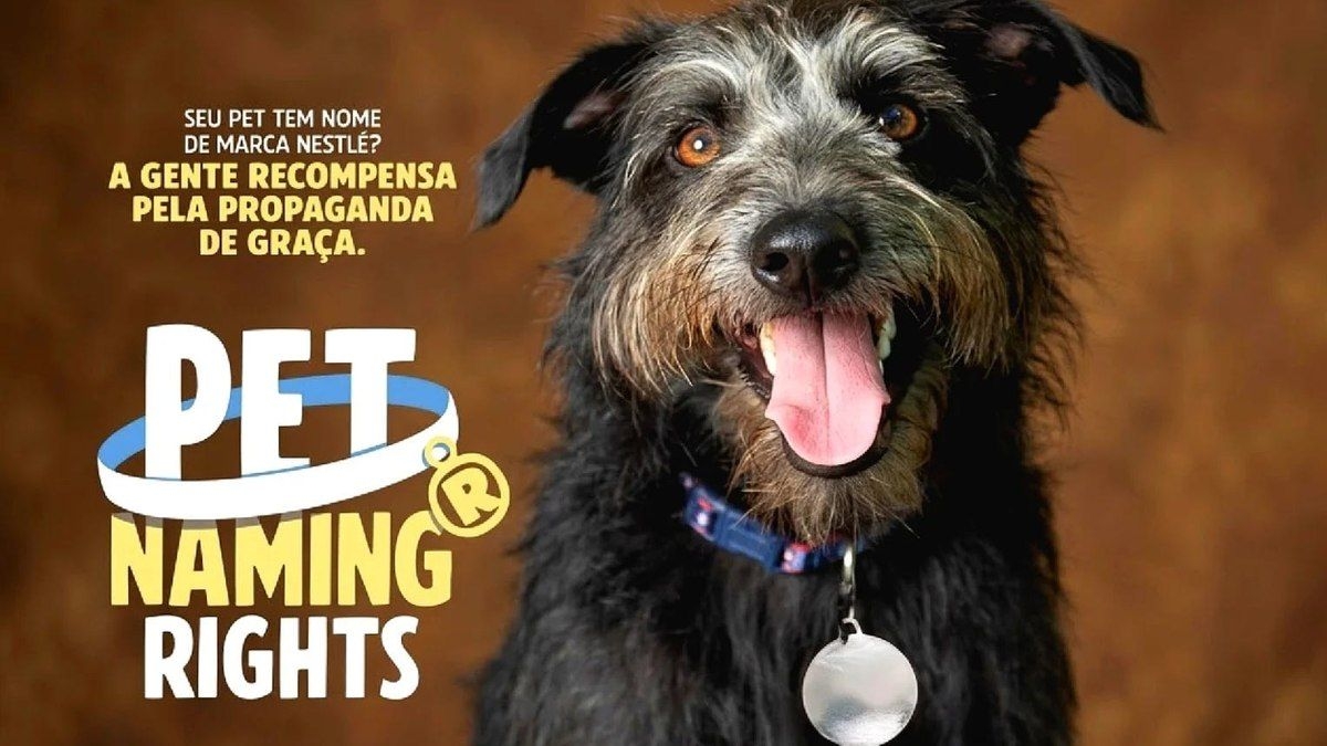 Nestlé transforma pets em mídia com campanha inovadora
