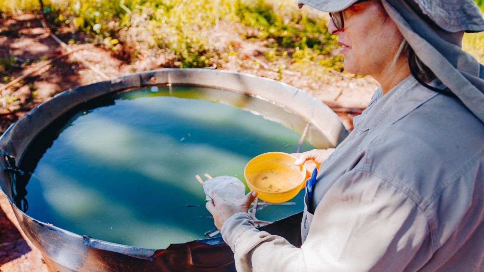 Redução de casos de dengue surpreende em Alagoas