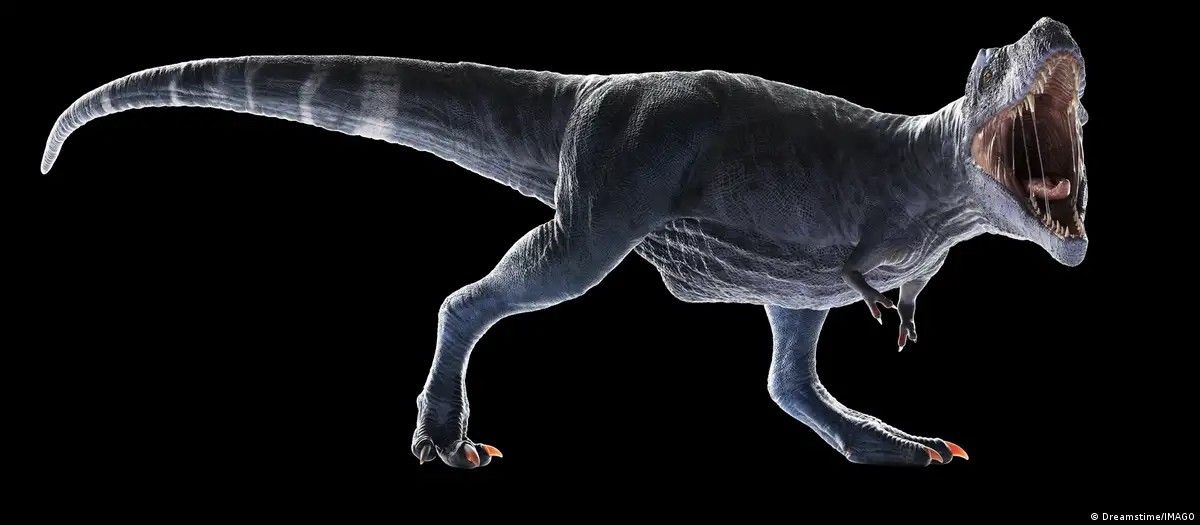 Mistério dos braços curtos do T-Rex é desvendado