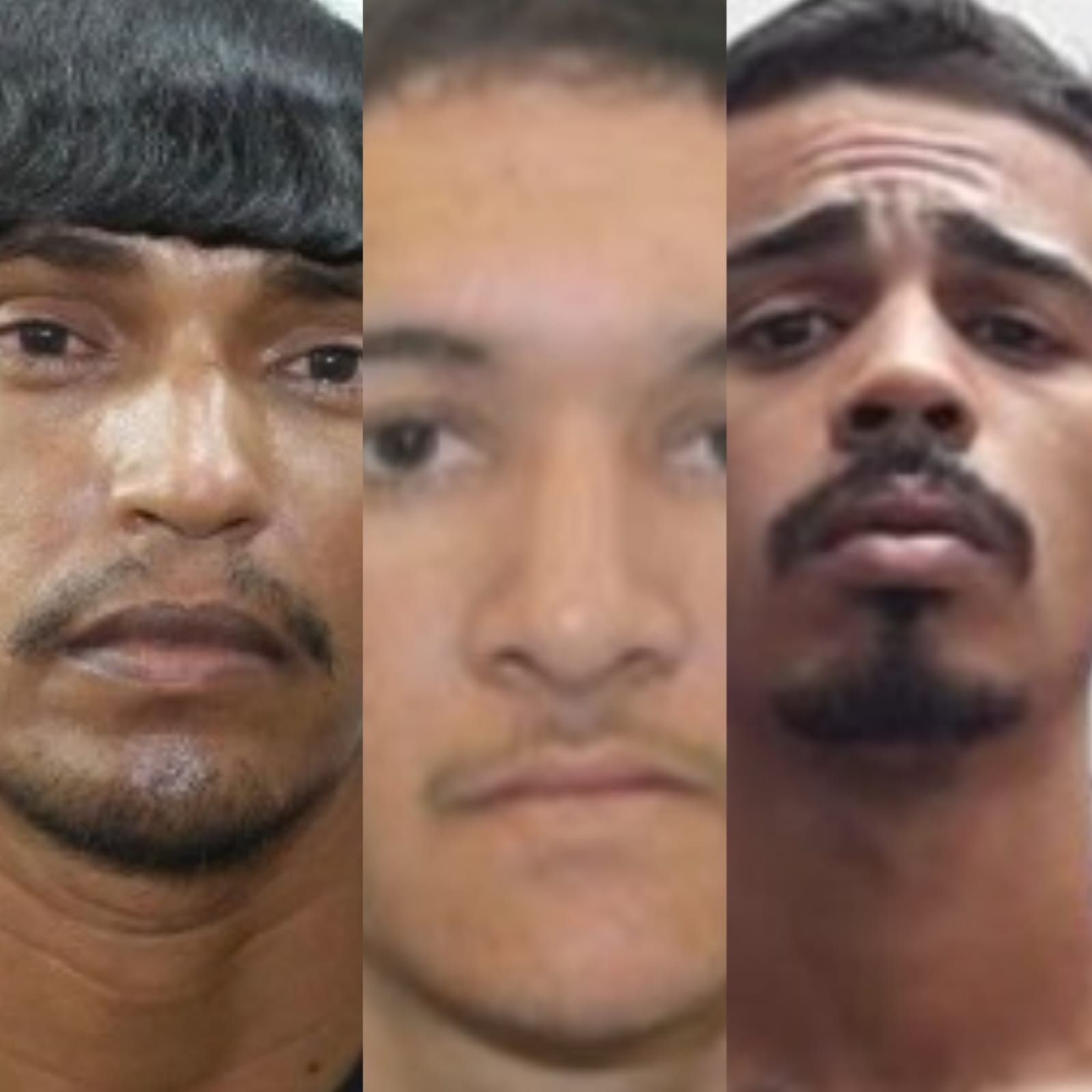 Suspeitos de feminicídio em Alagoas são procurados pela polícia