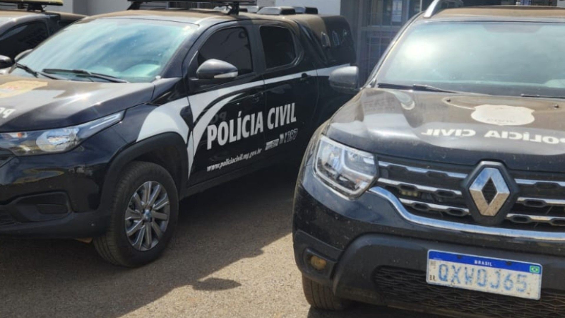 Mulher é indiciada por maus-tratos a gato em MG