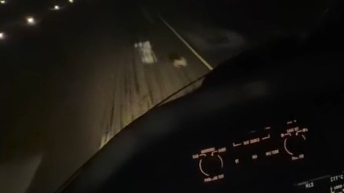 Coelho quase é atropelado por avião em Campinas