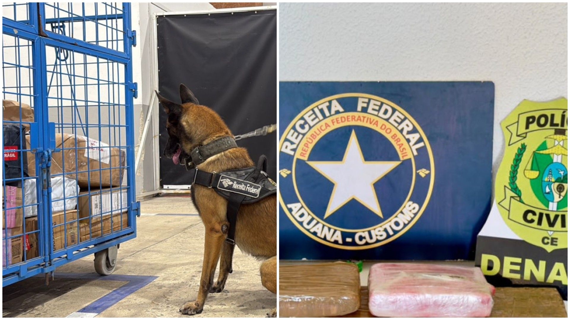 Polícia apreende 6kg de skunk enviados do RJ para Fortaleza