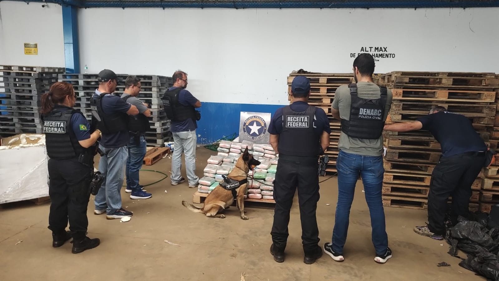 Apreensão de quase 200 kg de skunk em Belém
