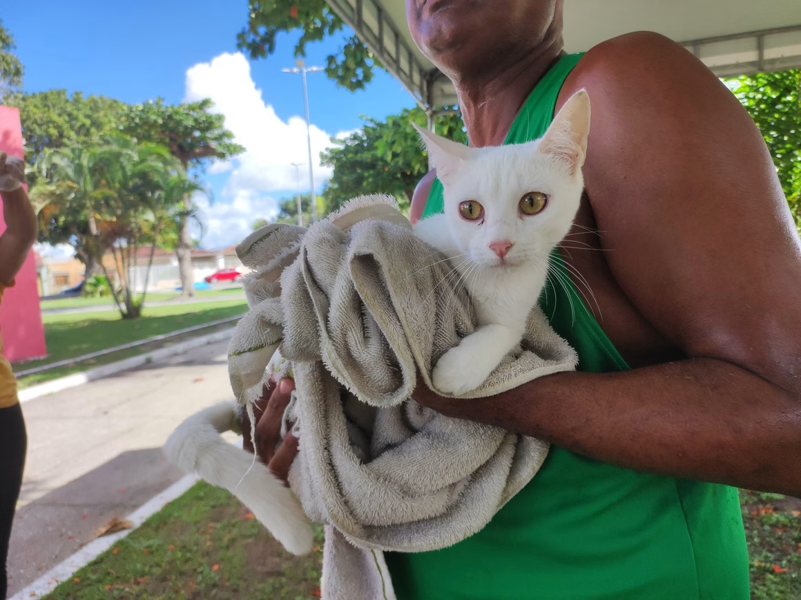 Vacinação antirrábica em Penedo começa dia 13 de outubro