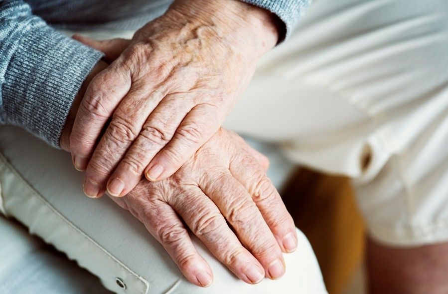 Células zumbis e estratégias para rejuvenescimento celular