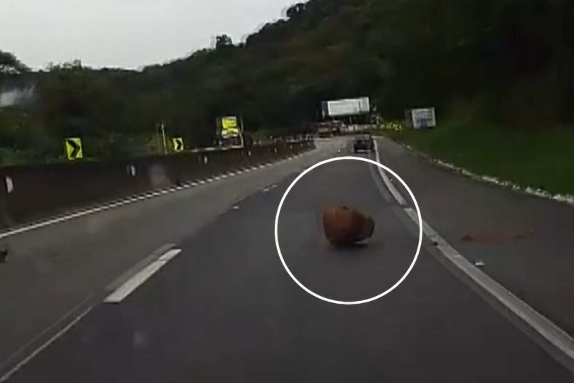 Motorista desvia de pedra em rodovia do Paraná